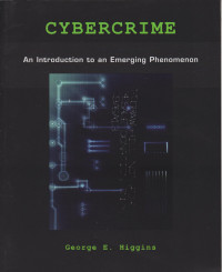 Cybercrime: an Introduction to an Emerging Phenomenon