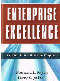 Enterprise Excellence; A practical guide to world-class competition