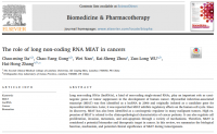 The role of long non coding RNA Miat in coneers