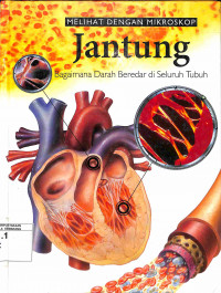 Melihat dengan Mikroskop Jantung Bagaimana Darah Beredar di Seluruh Tubuh