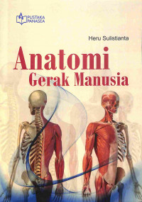 Anatomi Gerak Manusia