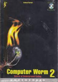 Computer Worm 2: Secret of Underground Coding